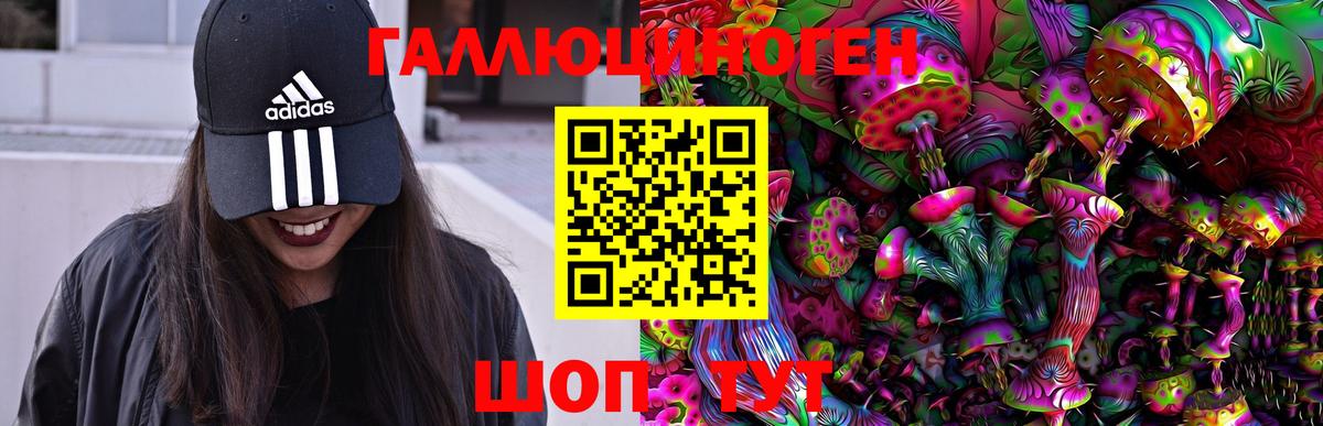 Галлюциногенные грибы Cubensis Белово